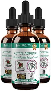Active Adrenal - Advanced Adrenal Support Tinctuur - vloeibare levering voor betere absorptie - Ashwagandha, B-Vitamins, Magnesium en meer