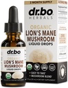 Leeuwen Mane paddo supplement Drops - Biologische Leeuwen Mane paddo vloeibare tinctuur voor Focus, Mist Hersen Gezondheid Supplementen - Vegan Herbal Nervine Nootrope Biologische Leeuwen Liquid Supplement Extract 1oz