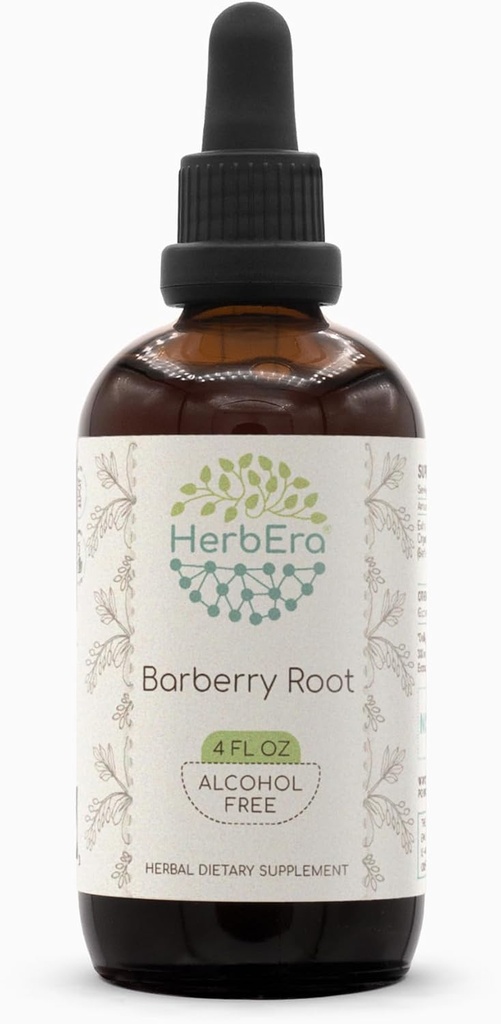Barberry Root B120 Alcoholvrije kruidenextract Tinctuur, geconcentreerde vloeibare druppels Natural Barberry (Berberis Vulgaris) (4 fl oz)