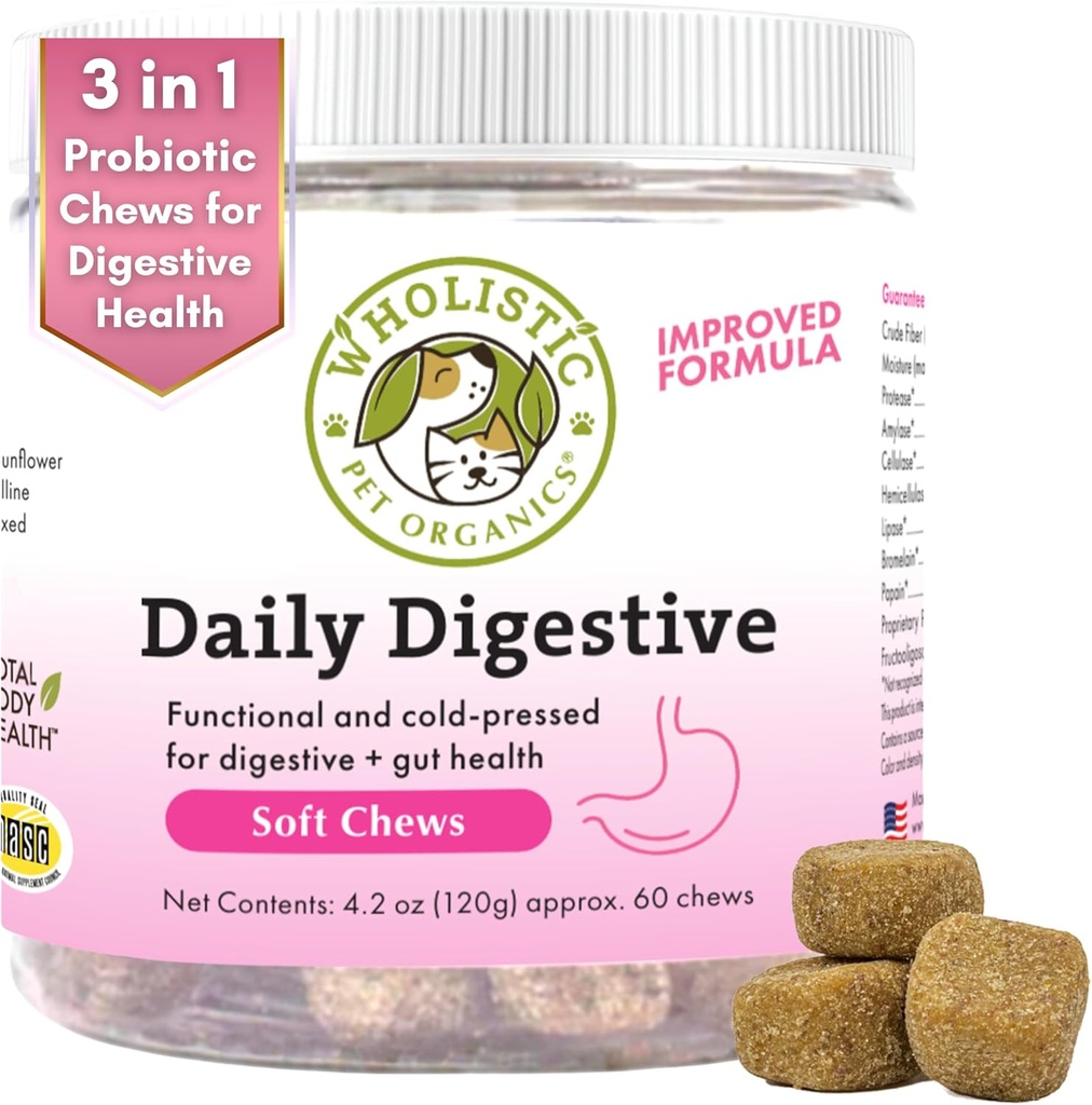 Physique des animaux de compagnie: Probiotique Chews pour chiens santé digestive - 60 Compte - Probiotiques pour chiens et enzymes digestives - Soutien Gut santé supplément immunitaire prévient les problèmes digestifs pour chiens