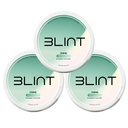 BLINT Prime Nootropic Pouches – L-Theanine, L-Tyrosine & Caffeine | Focus + Energy Supplement | Nicotine-Free, Tobacco-Free | 15 Pouches | Wintergreen (3 Cans)