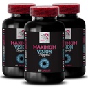 Eye focus - EYE VISION SUPPLEMENT - Pure view, Vision enhancer, Sight sharp, Focus support, Sharp lines, Vision power, Vision clarity, Better image, Refined vision 3 Bottle 180 Capsules
