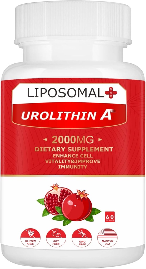 Liposomale Urolithin A Supplement 2000MG for Energy 60 Capsules