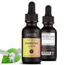 Lyfetrition Serrapeptase 125000 SPU 118 ml, 4 FL Oz Liquid, 220 Servings, Made in USA, Quick Absorption, Potent Ingredients, Non-GMO