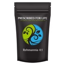 Prescribed For Life Rehmannia Powder 4:1 | Traditional Chinese Medicine Root Extract Powder (4oz / 113g)