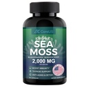 Organic Sea Moss Complex with Bladderwrack and Burdock Root, 2000 mg, 60 Irish Seamoss Veggie Capsules, Immunity and Thyroid Support | Non-GMO and Gluten Free Formula | Traditional Herb