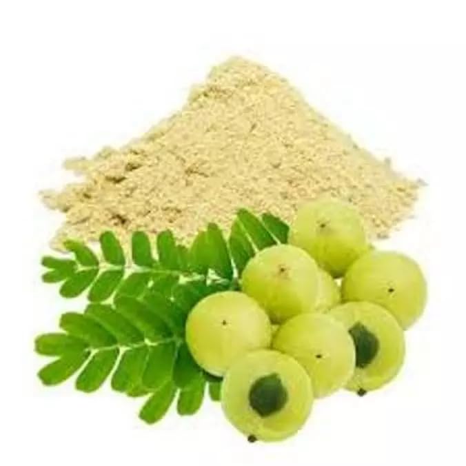 Onmexa Amla Powder 3 oz – Pure Amalaki Powder Made from Amla Berry Pulp, Seed-Free and Natural