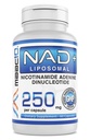 MAAC10 Supplément Liposomique NAD 500mg Servant (2x250mg Capsules) Dinucléotide d'adénine de Nicotinamide