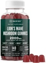 Leeuwen Mane Mushroom Gummies voor Volwassenen, 140 Tel Bulk Leeuwen Mane Kauwtabletten, Hoge Potentie 10:1 Organisch Extract bedraagt 2000mg, Supplement Ondersteunt Mentale Duidelijkheid, Focus, Mood en Brain Fog