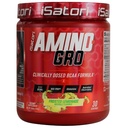 iSatori Amino-GRO BCAA Powder, vertakte ketenAminozuren met Glutamine, Electrolyte Powder & Bio-GRO Bio-Active Peptides for Muscle Growth & Post Workout Recovery, Frosted Limonade (30 Servers)