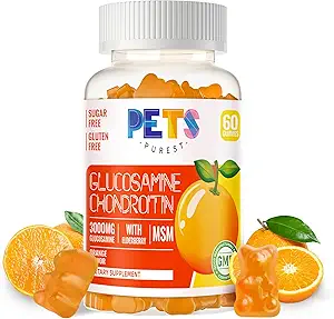 Pets Purest Glucosamine Chondroitin Gummies with MSM & Elderberry Extra Strength - Joint Support, Antioxidant Immune Support Supplement for Adults, Men & Women.Orange