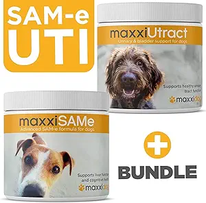 maxxipaws SAM-e UTI Bundle 