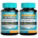 NouveauRhythme Probiotiques 120 milliards CFU 36 souches, 3-en-1 Probiotiques pour la santé digestive et le soutien immunitaire avec les prébiotiques et enzymes, Probioticos pour les femmes et les hommes, Vegan Targeted Release Supplément, 60ct