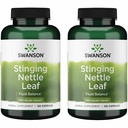 Swanson Stinging Nettle Leaf (Urtica Dioica) - Herbal Supplement Promoting Urinary Tract & Respiratory Health Support - May Support Healthy Fluid Balance - (120 Capsules) (2 Pack)