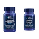 Prolongation de la durée de vie Pycnogenol Français Maritime Pine Bark & Gotu Kola Arterial Health Suppléments - 60 et 30 Capsules végétariennes