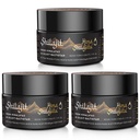 Shilajit Purest Himalaya Organic Shilajit Resin - Gold Grade 100% Purity Shilajit with Fulvic Acid & 85+ Trace Minerals Complex for Energy & Immune Support, Pack of 3 (6 maanden supply)