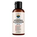 AMANDEAN Liposomal Glutathion Supplement. Liquid Reduced Setria 500 mg. Immuun ondersteuning, hersenen gezondheid, lever detox, huid gezondheid. Fosfatidylcholine van Non-GMO Zonnebloemlecithin. Soy-Free & Vegan.