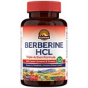 Vitalitown Berberine HCl 200mg, with Ceylon Cinnamon & Turmeric, 97% Purity, Concentrated Berberine Supplement, Metabolic, Immune, Gut & Heart, Non-GMO, 60 Vegan Capsules