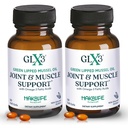 GLX3 Green Lipped Mossel Oil Capsules voor Joint en Muscle Support Extra-Strengte ETA, EPA, DHA Omega-3 Green Lipped Mossel Supplement voor Comfort, Flexibiliteit & Herstel door HakaLife GLX3
