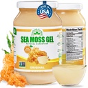 EverSmith Organics Wildcrafted Irish Sea Moss Gel, Unflavored, 1 Jar, 16 oz | Made in USA, Rich in Nutrients, Sea Moss Gel Raw, Vegetables & Fruits, Sustainably Harvested, Essential Vitamins and Minerals