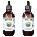 Hawaii Pharm Prickly Ash Alcohol-Free Liquid Extract, Prickly Ash (Zanthoxylum Clava-herculis) Dried Bark Glycerite Natural Herbal Supplement, USA 2x2 fl.oz