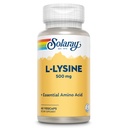 SOLARAY L Lysine 500 mg Capsules - Free-Form Essential Amino Acids Supplement - Krachtige Wellness Ondersteuning met L-Lysine Amino Acid - Lab geverifieerd, 60 dagen garantie, 60 porties, 60 VegCaps