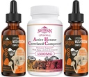 1500 MG Liposomal Active Hexose Correlated Supplement 120 SoftGels Bundel met 2000 MG Liposomal Mushroom Complex Drops 60 Servers