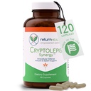 Cryptolepis Synergie, Immuun Ondersteuning Vitaminen, Immuun Systeem Booster voor volwassenen, lever, lymfatische, & Immuun Ondersteuning Supplement, Ondersteunt Lyme & Natuurlijke Parasiet Verdediging, 120 Capsules