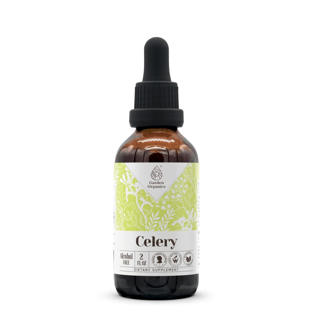 Celery Alcohol-Free Natural Tincture Extract, Immune System Booster, Liquid Drops Made from 100% Celery (Apium graveolens) Dried Fruit and Seed (2 fl oz)
