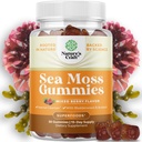 Natures Craft Sea Moss Gummies voor volwassenen en kinderen - Vegan Adult and Kids Immune Support Gummies with Burdock Bladderwrack Sea Moss Gel - Delicious Berry Flavor Supplement Heren Vrouwen Kinderen 30ct
