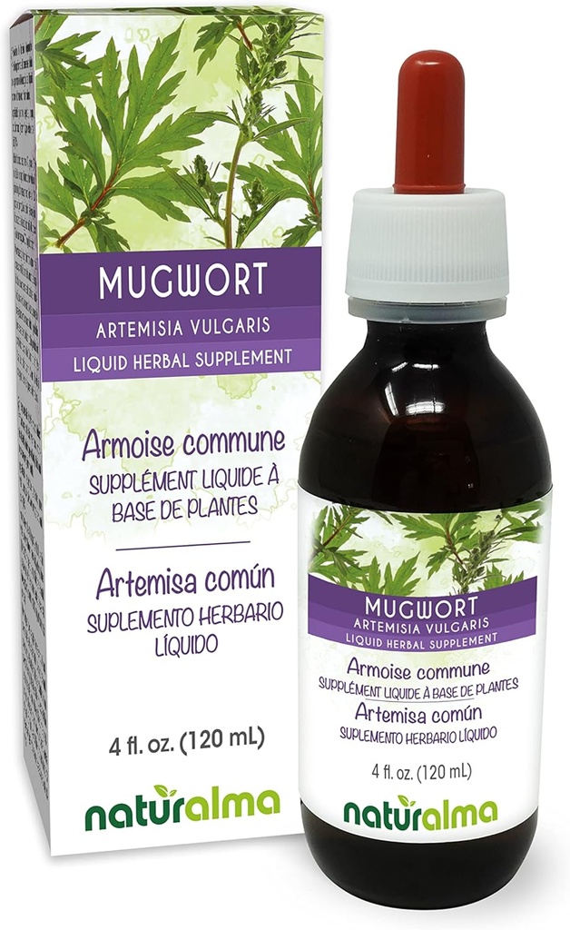 Naturalma Mugwort (Artemisia vulgaris) kruid met bloemen Alcoholvrije tinctuur - 4 fl oz Liquid Extract in druppels - Kruidensupplement - Veganistisch