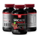 Tart Cherry Extract for Uric Acid - URIC ACID FORMULA - Green Coffee Bean Extract for Uric Acid, Uric Acid Health Supplement, Pomegranate Extract for Uric Acid, Joint Support 1 Bottle 60 Capsules
