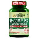 Vlado’s Himalayan Organics Vitamin B Complex with 100% RDA B1, B2, B3, B5, B6, B7, B9 & B12 | Hair Growth, Energy & Immunity | Youthful Skin - 120 Veg Tablets