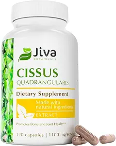 Jiva Botanicals Cissus Quadragularis Capsules 550 mg - High Potency Cissus Powder Extract for Normal Bone Health & Normal Joint Support - 120 capsules (pack of 1)