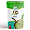 B12GreenFood Powder Plant Based Vitamin B12 Supplement 100g