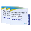 Nexchem Probinex Probiotics & Prebiotics Nutritional supplement Multi strain Capsules for Digestive wellness Improve Gut health and immunity. Pack of 30 Capsules