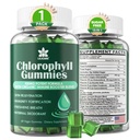 Chlorofyl Gummies - Supergroen met tarwegras, zeemos, ongefilterde ACV & Vlierbessen, Echinacea, zinkcomplex & vitamine D3, C, E, B12 voor natuurlijke deodorant, Immune & Digestie Ondersteuning, 60 Kauwen