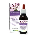 Naturalma Zuid-Afrikaanse Pelargonium of Umckaloaba (Pelargonium sidoides) Wortel Alcoholvrije Tinctuur - 4 fl oz Liquid Extract in druppels - Kruidensupplement - Veganistisch