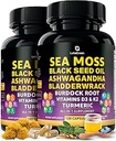 Capsules de mousse de mer – Mélange 17-en-1 avec l'huile de graines noires Ashwagandha Bladderwrack Root Turmeric Vitamine D3 K2 C pour le mieux-être quotidien – Supplément multiminéral pour les hommes et les femmes – 240 Nombre