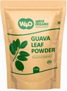 Poudre de la feuille de Guava (100 % naturel et pur), Thé de la feuille de Guava, Recroissance des cheveux, peau et ongles, Pas de conservateurs, 100% Feuilles de la feuille de Guava pure (paquet de 1)