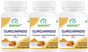 CURCUMINOID (Purified Turmeric Root Extract 500mg) Capsules (pack of 3)