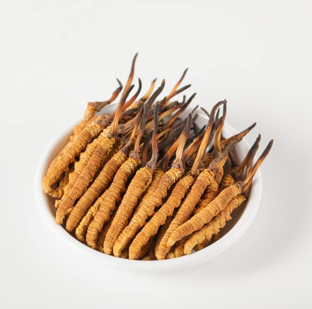 Wild Cordyceps, Whole Himalyan Cordyceps Sinensis Mushroom, Origineel en Zeer Zeldzaam, Hooggradig, Boost Energie, Verminder Stress voor mannen en vrouwen, 5 Gram (13+17pic) uit Lamjung Nepal Keeda Zadi