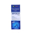 ARYCAL-D Syrup with Calcium, Magnesium, Zinc & Vitamin D3, Sugar-Free, Bone Health, 200 ml (Pack of 2)