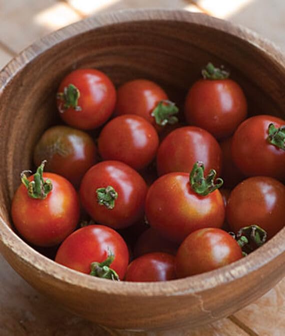 Willvine Sweetheart Of The Patio Hybrid Tomato 120 Seeds for Planting