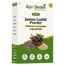 AyurDevam - Jamun Powder |Jamun Seed Powder | Jaamun Ki Guthli | Diabetes | Naaval Pazham | Indian blackberry | Syzygium cumini |जामुन गुठली चूर्ण | जामुन चूर्ण (250 Gram)