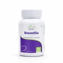 Natures Velvet Lifecare Boswellia Serrata Pure Extract 500 mg, 60 Veggie Capsules - Pack of 1