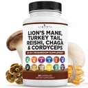 Lions Mane Champignon Supplément avec la dinde Tail Reishi Cordyceps Chaga avec la racine Marshmallow - 1-Pack