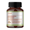 Jiva Ashwagandha Tablet | 100% Ayurvedic Formulation | Boosts Immunity and Energy Level | Strengthens Nervous System, Reduces Stress & Anxiety | Balances Kapha & Vata Doshas | 60 Tablets | Pack of 1