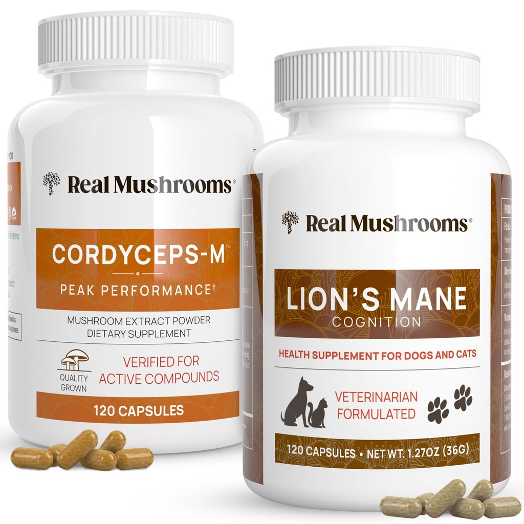 Real Paddestoelen Cordyceps for Humans (120ct) and Lions Mane for Pets (120ct) - Bundel voor energie, vitaliteit en cognitie - Veganistisch, niet-GMO, Glutenvrije, Grain-Free Mushroom Extract Supplementen
