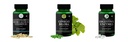 Glucosamine-msm-tablets, Ginkgo-biloba-vegetarian-capsules, Digestive-enzymes-60-vegetarian-capsules Combo | Convenient Nutrition & Wellness Routine | Multi-Product Pack